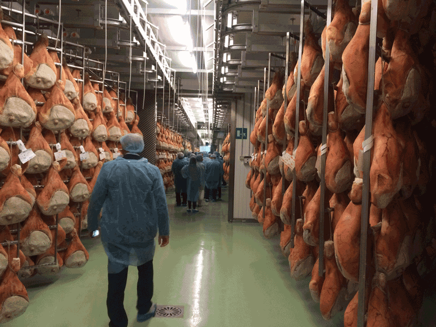 Il prosciutto di Carpegna è il prodotto più esportato tra i Dop delle Marche