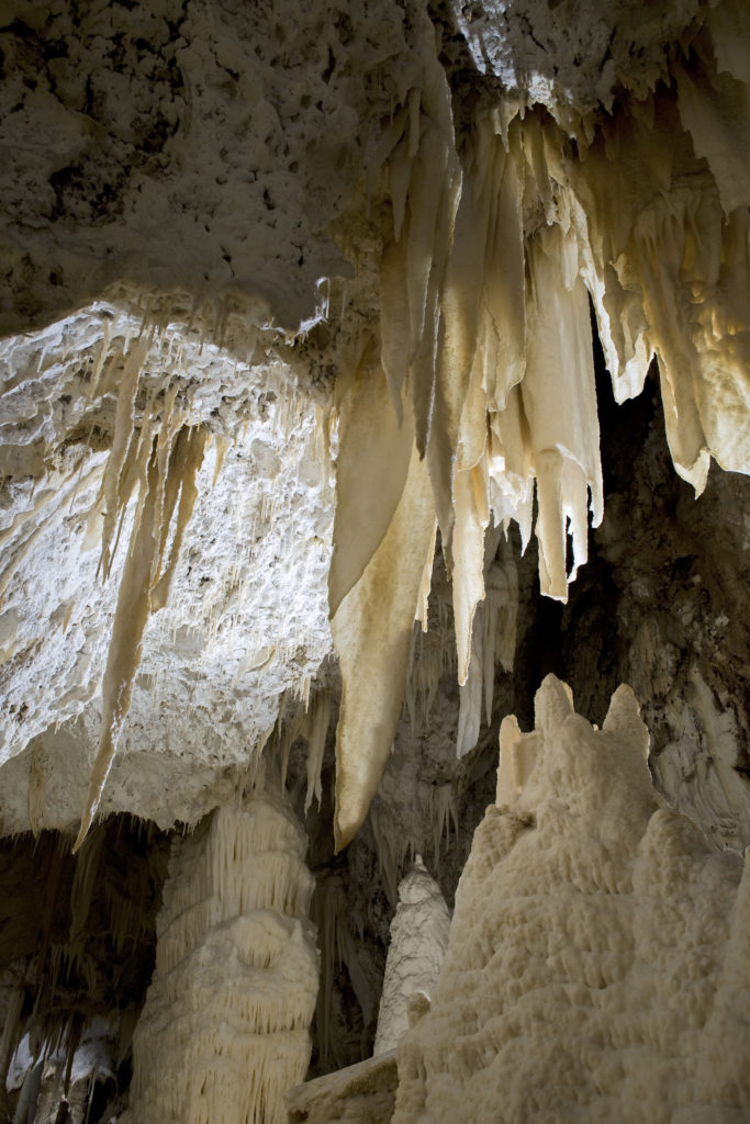 Anche Ancona celebra la scoperta delle Grotte di Frasassi