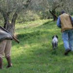 Sandro Bisonni alla Giunta regionale: “Basta forzature in tema di caccia”
