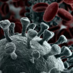 Altri 43 contagi nelle Marche, saliti a 202 i tamponi positivi al Coronavirus