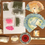 Hashish, cocaina e pasticche: a Pesaro una nuova operazione antidroga della polizia con un arresto