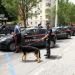 carabinieri controlli auto cani militari2021-06-22