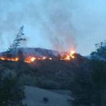 Brucia un altro bosco, questa volta a Morignano / Video