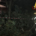 Rami e alberi spezzati dal vento, notte impegnativa per i Vigili del fuoco
