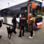 FABRIANO controlli carabinieri cani cinofili pullman studenti2021-11-10 (1)