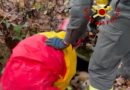 Cane finisce in un cunicolo, recuperato dai Vigili del fuoco / Video