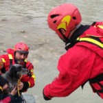 Un cane resta bloccato nel fiume, salvato dai Vigili del fuoco