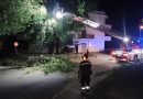 Notte impegnativa per i Vigili del fuoco di Ascoli: tanti danni causati dal forte vento
