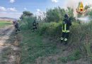 Sterpaglie in fiamme alla periferia di Fermo / Video
