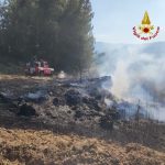 Incendio in un bosco a Monsampolo del Tronto