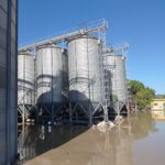 danni agricoltura maltempo alluvione acqua2022-09-16 (2)