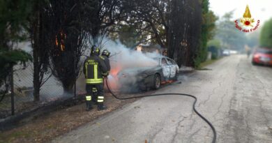 Un’auto ed un capanno distrutti dalle fiamme, in salvo due cani e due tartarughe