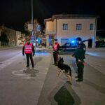 FABRIANO carabinieri cane controlli2023-03-23