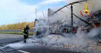 Un camion carico di generi alimentari distrutto dalle fiamme / FOTO e VIDEO